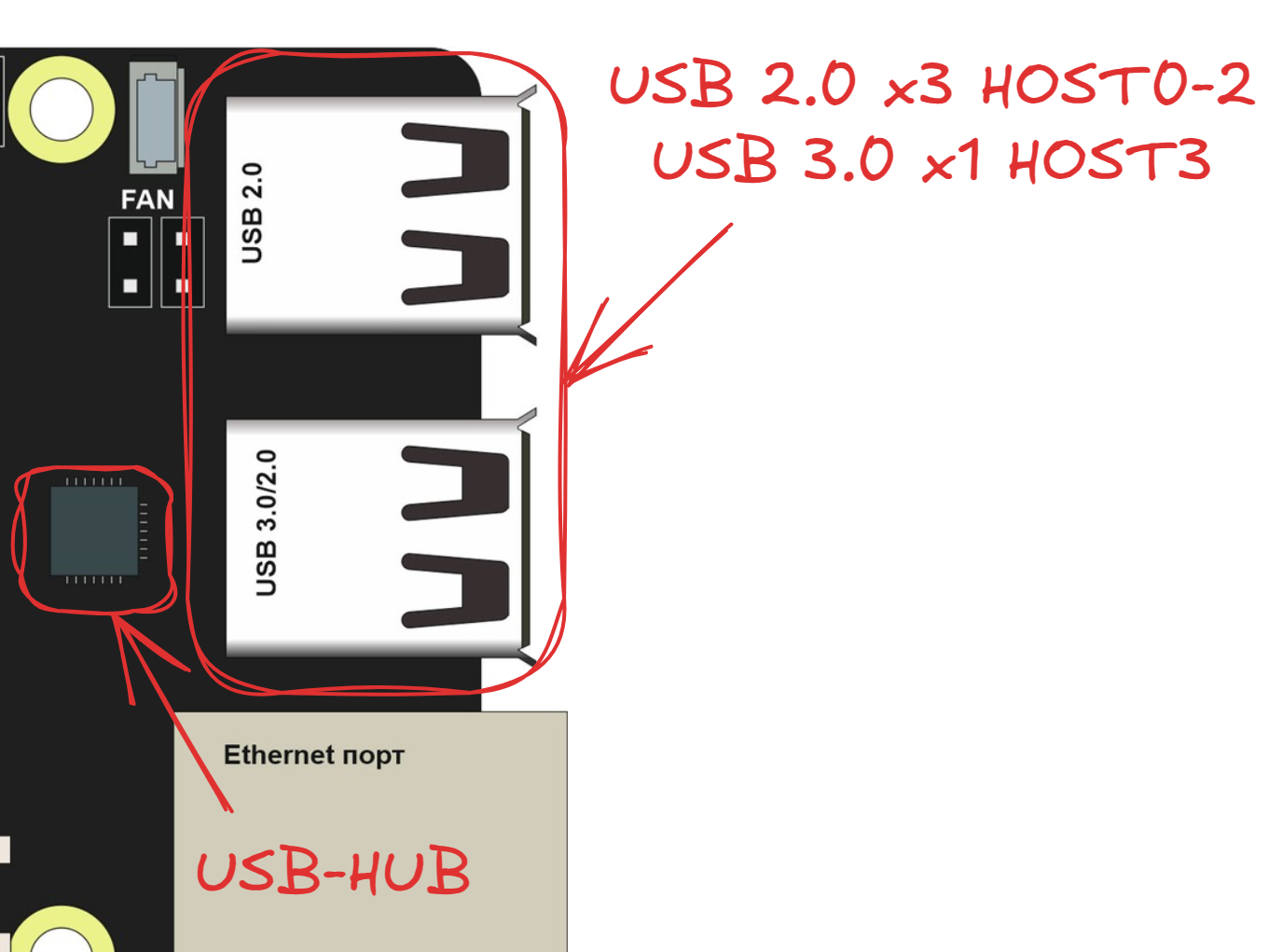 Расположение USB-портов и USB-хаба
