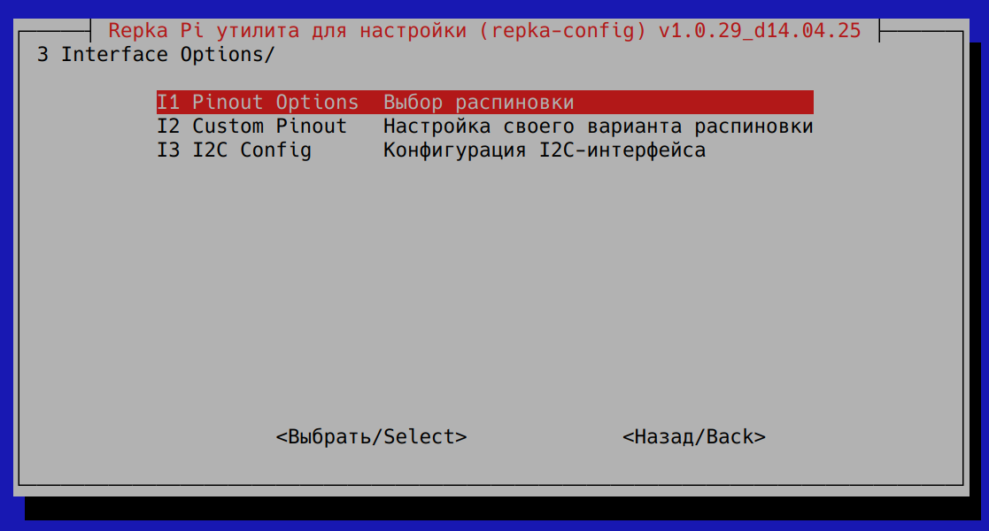 Меню в разделе "3 Interface Options"