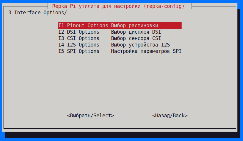 3 Interface Options  настройки интерфейсов